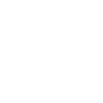 feiyu_logo